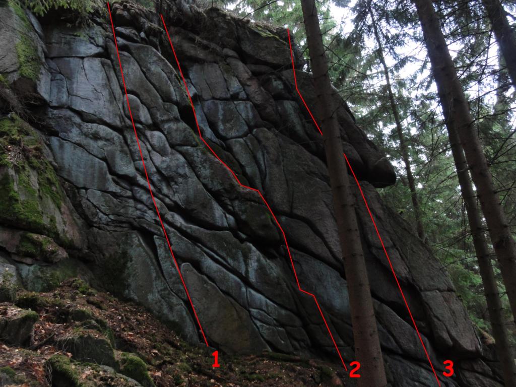 Leśna - TOPO