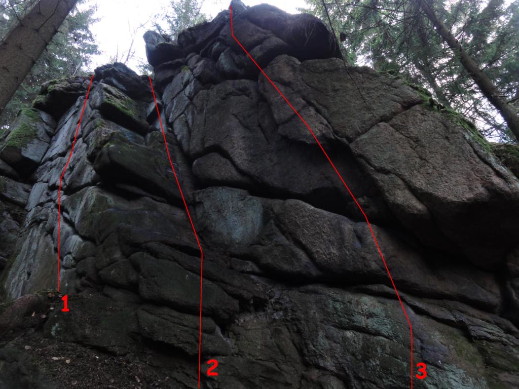 Leśna - TOPO