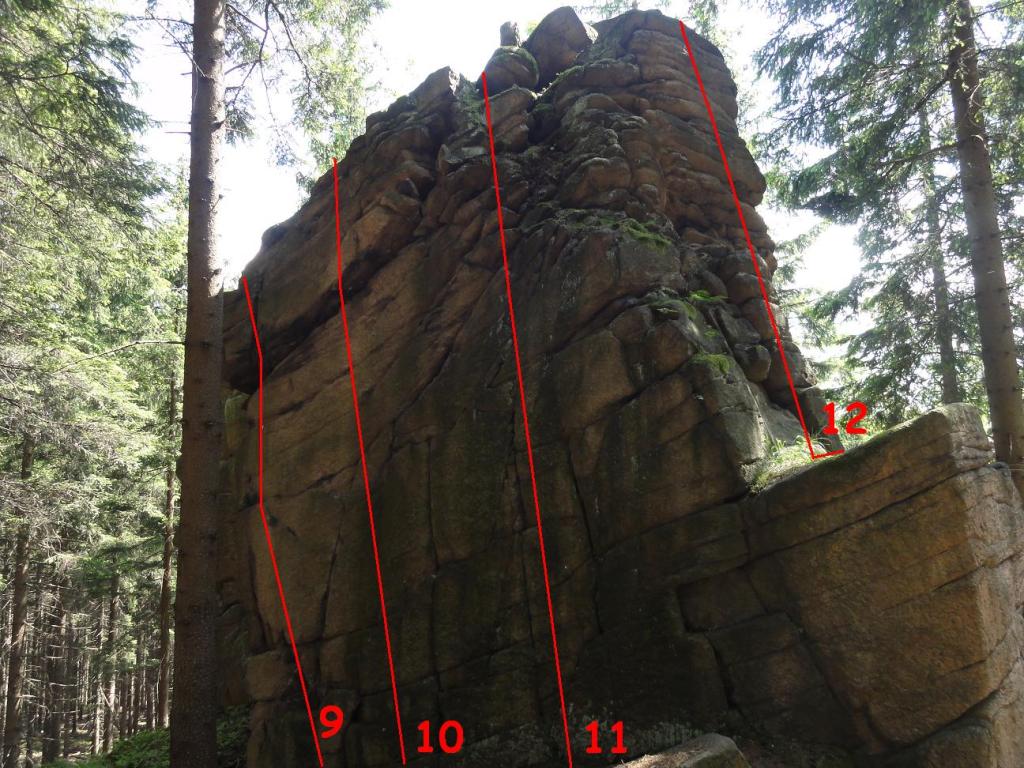 Leśna Turniczka Topo
