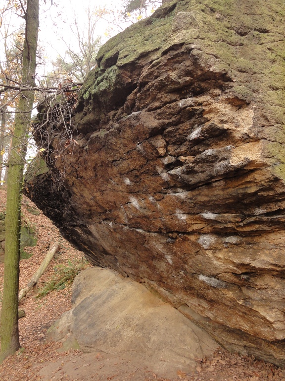 Pokutne Skały - baldy