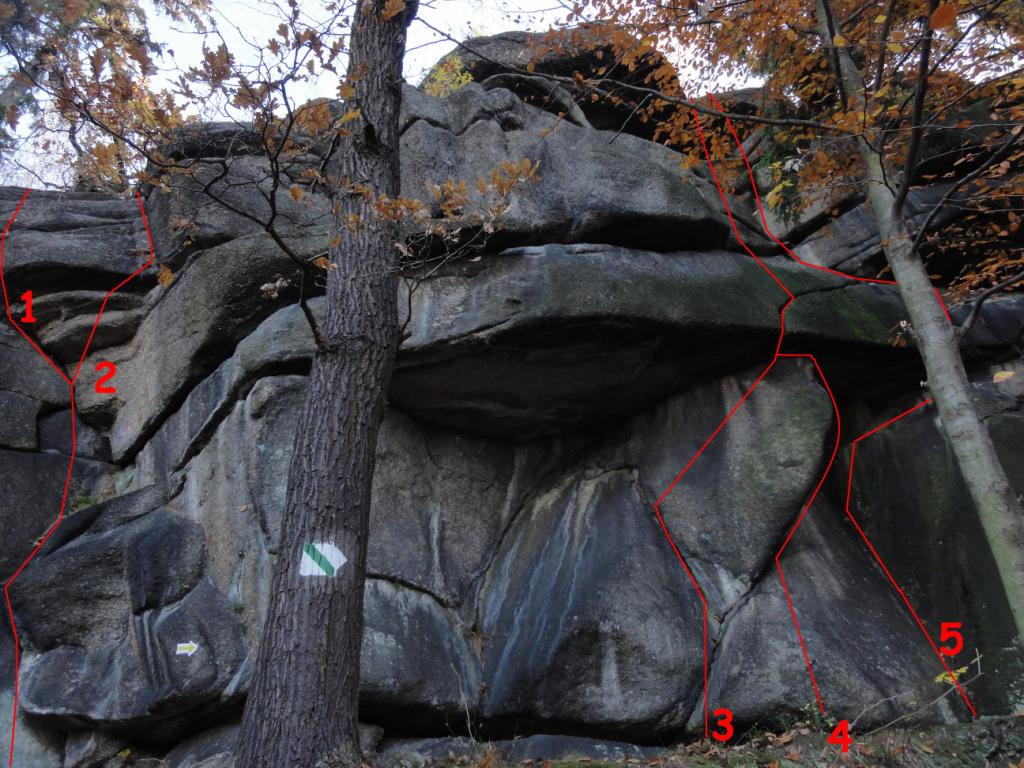 Witosza topo