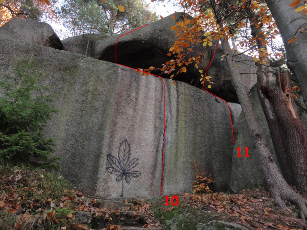 Witosza topo