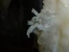 p1080892_t1.jpg