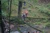dsc04797_t1.jpg