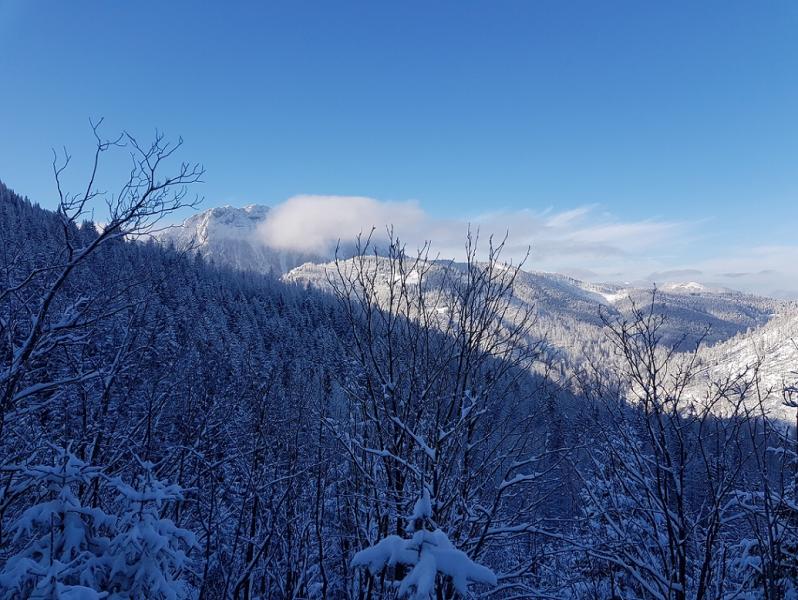 20180122_101455a.jpg
